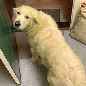 Meet your Posher, Ethan